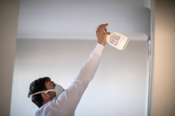 Best Commercial Mold Removal  in Hilmar Irwin, CA