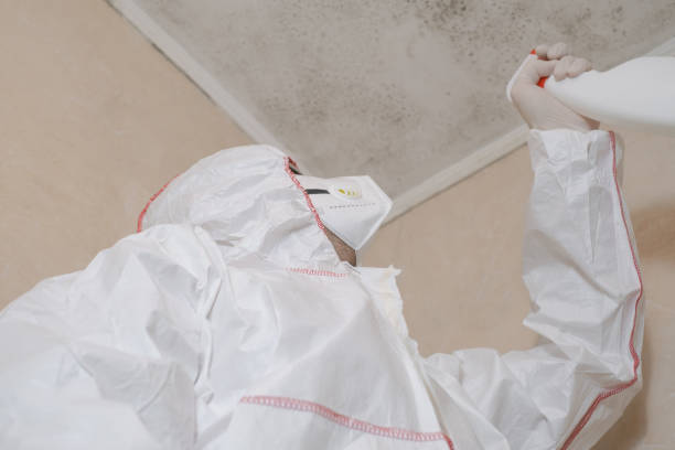 Best Mold Damage Repair  in Hilmar Irwin, CA